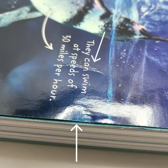 i-Ready Classroom Mathematics Grade 6 Volume 1 & 2 Student Workbooks Homeschool - Picture 9 of 9